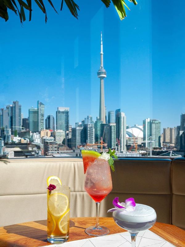 Guests lounging beside the rooftop pool at Lavelle Toronto